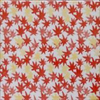 �ɥ����� ƫ��(����ǻ���꡼��) 150��ʿ ��:����ϩ(��) �ڼ����б��ʡ� (76621NGE)