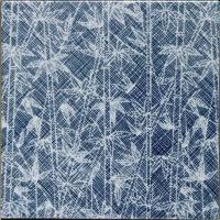 �ɥ����� ƫ��(����ǻ���꡼��) 150��ʿ ��:������ �ڼ����б��ʡ� (76623NGE)