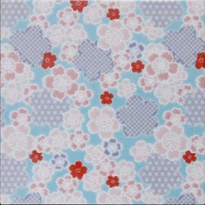 �ɥ����� ƫ��(����ǻ���꡼��) 150��ʿ ��:��������(�忧) �ڼ����б��ʡ�