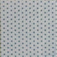 �ɥ����� ƫ��(����ǻ���꡼��) 150��ʿ ��:������ �ڼ����б��ʡ� (76631NGE)