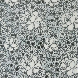 �ɥ����� ƫ��(����ǻ���꡼��) 150��ʿ ��:�͵�ͧ��(��) �ڼ����б��ʡ�