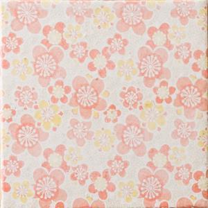 �ɥ����� ƫ����(����ǻ���꡼��) 100��ʿ ��:���� ���꡼�� �ڼ����б��ʡ�