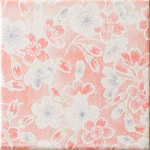 �ɥ����� ƫ����(����ǻ���꡼��) 100��ʿ ��:������ �� �ڼ����б��ʡ�