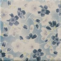 �ɥ����� ƫ����(����ǻ���꡼��) 100��ʿ ��:������ �� �ڼ����б��ʡ� (76653NGE)