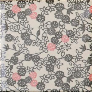 �ɥ����� ƫ����(����ǻ���꡼��) 100��ʿ ��:�������� �ڼ����б��ʡ�