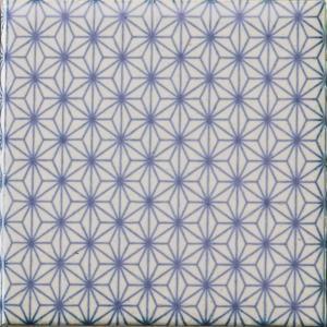 �ɥ����� ƫ����(����ǻ���꡼��) 100��ʿ ��:����� �ڼ����б��ʡ�