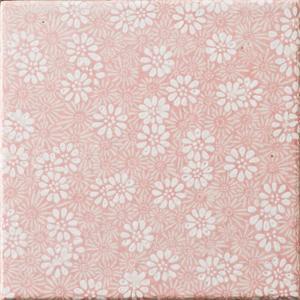 �ɥ����� ƫ����(����ǻ���꡼��) 100��ʿ ��:�֤�� �� �ڼ����б��ʡ�