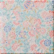 ɥ ƫ(ǻ꡼) 100ʿ : 忧 ڼбʡ (76685NGE)