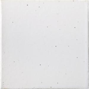 �ɥ����� ƫ����(����ǻ���꡼��) 100��ʿ ��:ʴ���� �ڼ����б��ʡ�