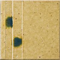 �ɥ����� ƫ����(����ǻ���꡼��) 100��ʿ ��:������ �ڼ����б��ʡ� (76695NGE)