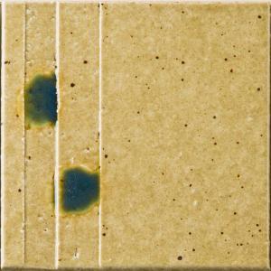 �ɥ����� ƫ����(����ǻ���꡼��) 100��ʿ ��:������ �ڼ����б��ʡ�