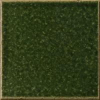 �ɥ����� ƫ����(����ǻ���꡼��) 100��ʿ ��:OF ���꡼��ǻ �ڼ����б��ʡ� (76696NGE)