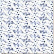 ɥ å ѥ  9797ʿ :caiman ڼбʡ (76710NGE)