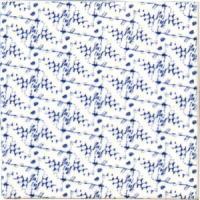 �ɥ����� �����å���� �ѥ����� ������ 97��97��ʿ ��:caiman �ڼ����б��ʡ� (76710NGE)