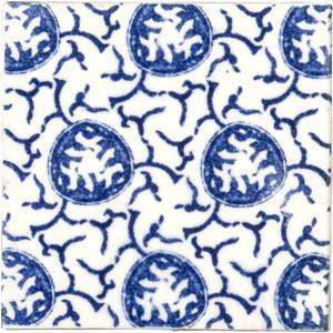 �֥��ɥ�����:�ɥ����� �����å���� �ѥ����� ������ 97��97��ʿ ��:coralformation �ڼ����б��ʡ�(76715NGE)