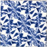 �ɥ����� �����å���� �ѥ����� ������ 97��97��ʿ ��:cucurbitaceae �ڼ����б��ʡ� (76718NGE)