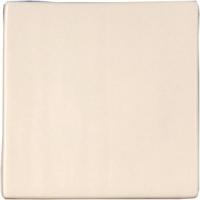 �ɥ����� �������� 100��ʿ ��:̵�� �ڼ����б��ʡ� (76727NGE)