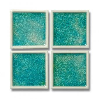 ���������� ������ 100��ʿ ���꡼��� (76967HMS)