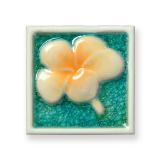 ���������� ������ 100�ѥ�������� �� (76968HMS)