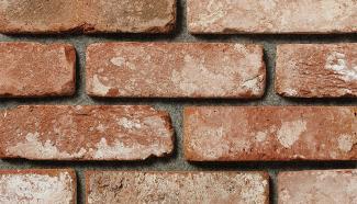 ��󥬡������ǥ˥�:���饤����� �ꥯ�饤��ɥ�å�  ��¦�Τ�(77025SJA)