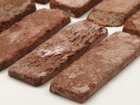 ڥץ ͭ 饤 ꥯ饤ɥå  ¦Τ (77027XXX)