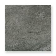 ʥĴ 450ʿ 졼 (77125EVR)