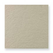 ʥĴ 300ʿ 饤ȥ졼 (77133EVR)