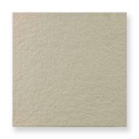 ʥĴ 300ʿ 饤ȥ졼 (77133EVR)