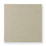 ʪ 300ʿ 饤ȥ졼 (77134EVR)