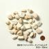 ��󥬡������ǥ˥�:�ߺ��� �饤�ȥ������� ��10��30mm ����֥�ž夲 20kg��(77336XRO)