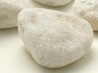 ������ �ۥ磻�� ��50��150mm ����֥�ž夲 20kg�� (77355XRO)